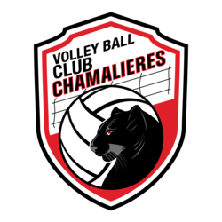 Logo Cannes